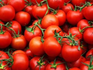 Первый урожай помидор можно собрать уже через 2,5 месяца