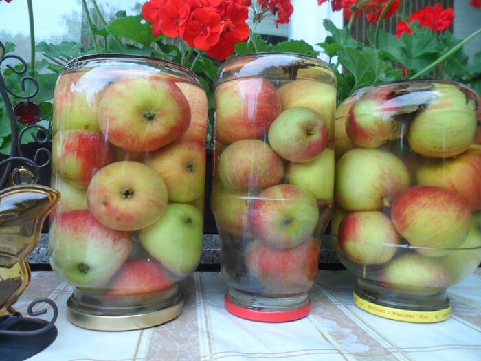 Из плодов колоновидных яблонь делается очень много заготовок
