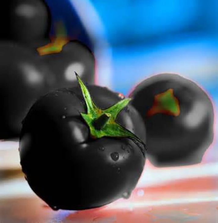 Сорт «Черная лакомка» выращивается в открытом грунте