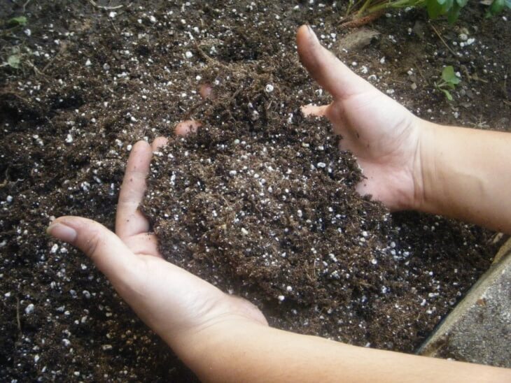 Азот является очень важным компонентом для почвы