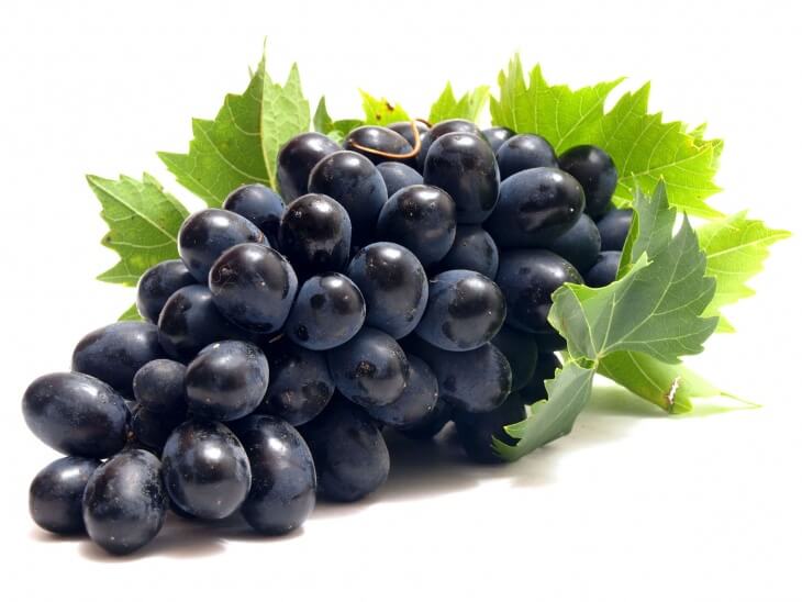 Некоторые сорта винограда могут выдерживать температуры до -28