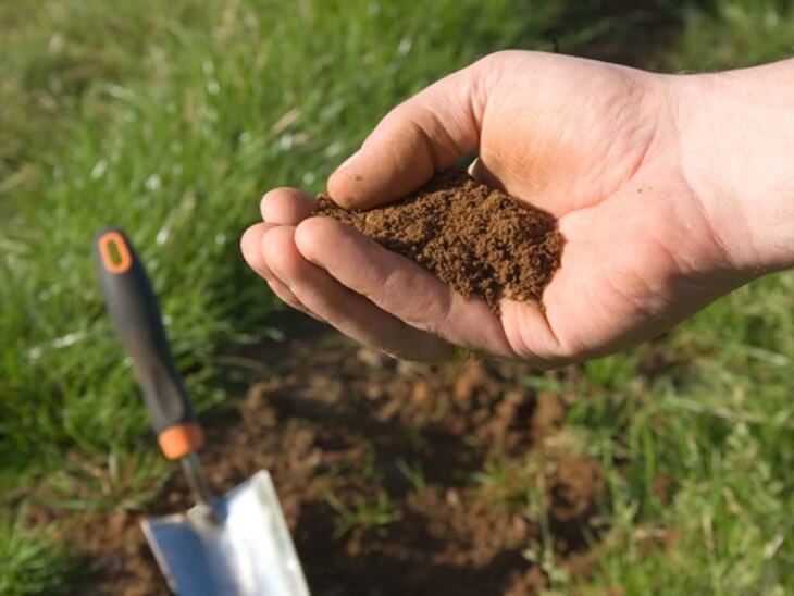 Кислотность почвы можно определить без приборов