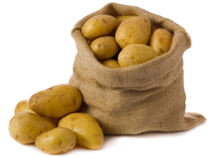 Урожай картофеля после посадки семенами