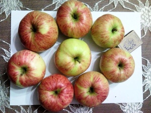 Собранный урожай яблок