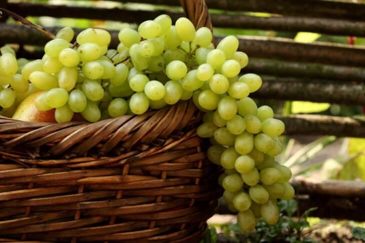 Спелый виноград можно применять в приготовлении пищи