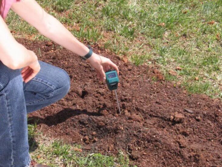 Проверка кислотности почвы