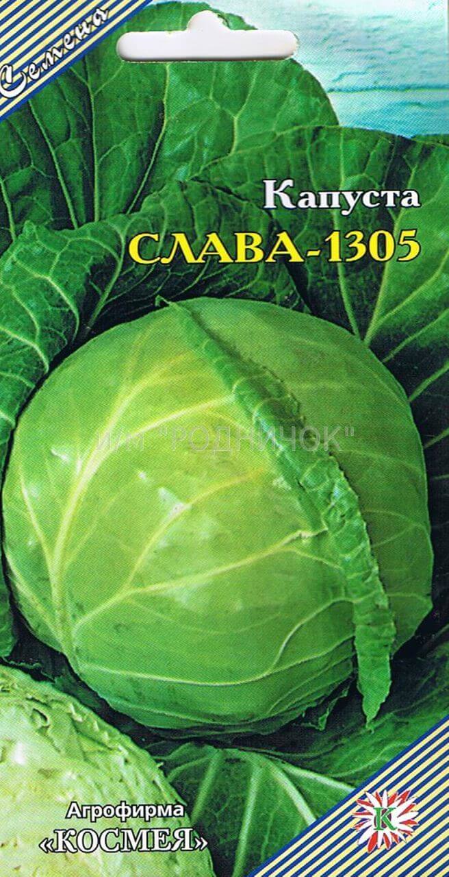 Капуста Слава 1305: отзывы и правила выращивания