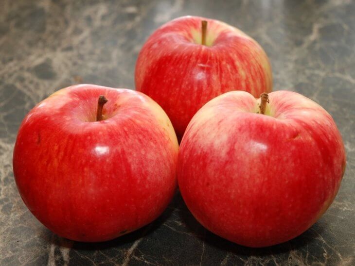 Плоды яблони Услада