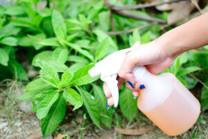 Get Rid of Animal Pests With Hot Pepper Spray Step 8